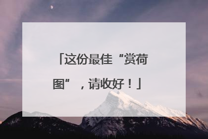 这份最佳“赏荷图”，请收好！