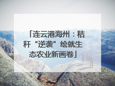 连云港海州：秸秆“逆袭”绘就生态农业新画卷