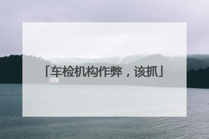 车检机构作弊，该抓