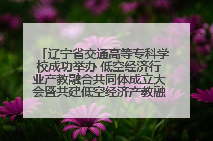 辽宁省交通高等专科学校成功举办 低空经济行业产教融合共同体成立大会暨共建低空经济产教融合新生态论坛