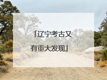 辽宁考古又有重大发现