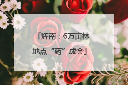 辉南：6万亩林地点“药”成金