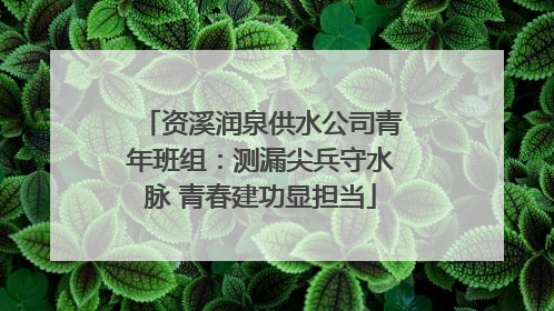 资溪润泉供水公司青年班组：测漏尖兵守水脉 青春建功显担当