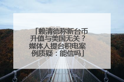 赖清德称新台币升值与美国无关？媒体人提台积电案例质疑：能信吗