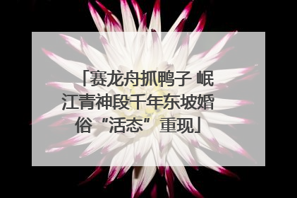 赛龙舟抓鸭子 岷江青神段千年东坡婚俗“活态”重现