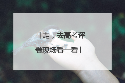 走，去高考评卷现场看一看