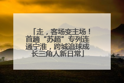 走，客场变主场！首趟“苏超”专列连通宁淮，跨城追球成长三角人新日常