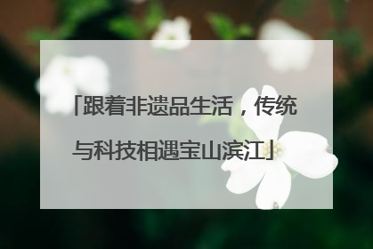 跟着非遗品生活，传统与科技相遇宝山滨江