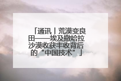 通讯丨荒漠变良田——埃及撒哈拉沙漠收获丰收背后的“中国技术”