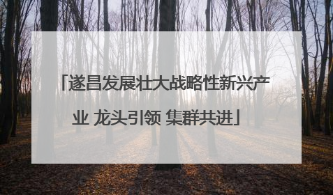 遂昌发展壮大战略性新兴产业 龙头引领 集群共进