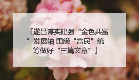遂昌谋实建强“金色共富”发展轴 围绕“富民”统筹做好“三篇文章”