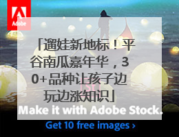 遛娃新地标！平谷南瓜嘉年华，30+品种让孩子边玩边涨知识