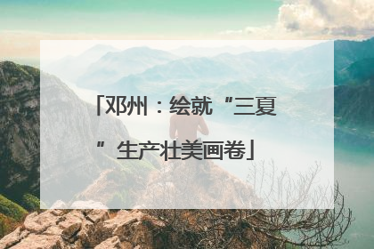 邓州：绘就“三夏”生产壮美画卷