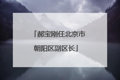 郝宝刚任北京市朝阳区副区长