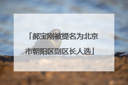 郝宝刚被提名为北京市朝阳区副区长人选