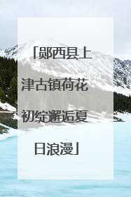 郧西县上津古镇荷花初绽邂逅夏日浪漫