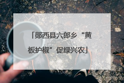 郧西县六郎乡“黄板护椒”促绿兴农