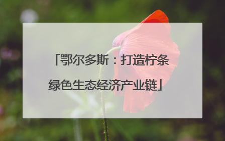 鄂尔多斯：打造柠条绿色生态经济产业链
