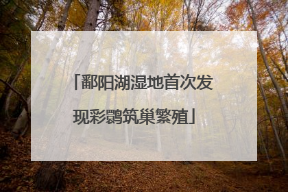 鄱阳湖湿地首次发现彩鹮筑巢繁殖