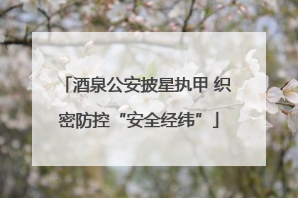 酒泉公安披星执甲 织密防控“安全经纬”