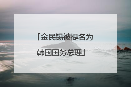 金民锡被提名为韩国国务总理