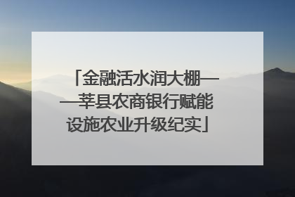 金融活水润大棚——莘县农商银行赋能设施农业升级纪实