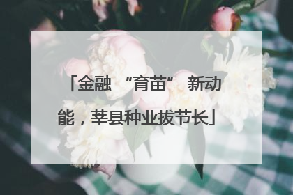 金融 “育苗” 新动能，莘县种业拔节长