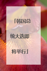 韩国总统大选即将举行