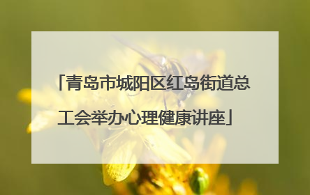青岛市城阳区红岛街道总工会举办心理健康讲座