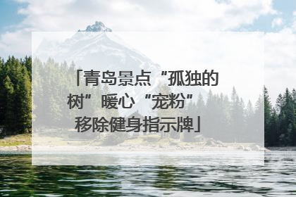 青岛景点“孤独的树”暖心“宠粉” 移除健身指示牌