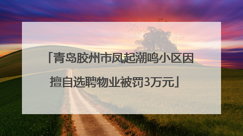 青岛胶州市凤起潮鸣小区因擅自选聘物业被罚3万元