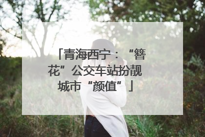青海西宁：“簪花”公交车站扮靓城市“颜值”