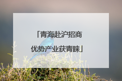 青海赴沪招商 优势产业获青睐