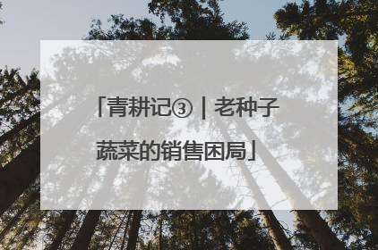 青耕记③｜老种子蔬菜的销售困局
