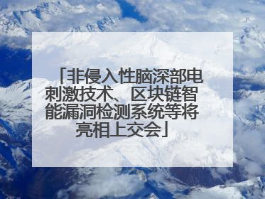 非侵入性脑深部电刺激技术、区块链智能漏洞检测系统等将亮相上交会