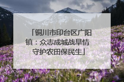 铜川市印台区广阳镇：众志成城战旱情 守护农田保民生