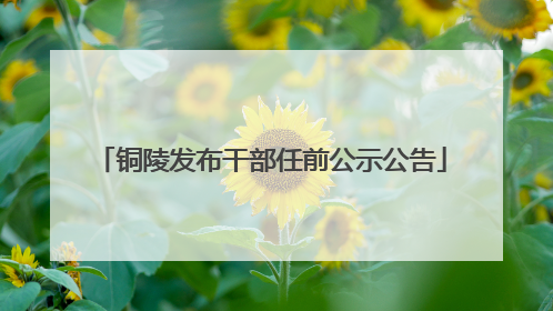 铜陵发布干部任前公示公告