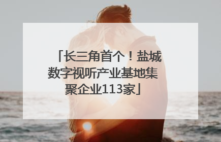 长三角首个！盐城数字视听产业基地集聚企业113家
