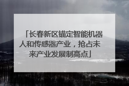 长春新区锚定智能机器人和传感器产业，抢占未来产业发展制高点