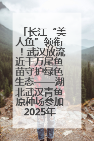 长江“美人鱼”领衔！武汉放流近千万尾鱼苗守护绿色生态——湖北武汉青鱼原种场参加2025年“全国放鱼日”增殖放流活动