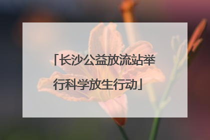 长沙公益放流站举行科学放生行动