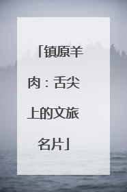 镇原羊肉：舌尖上的文旅名片