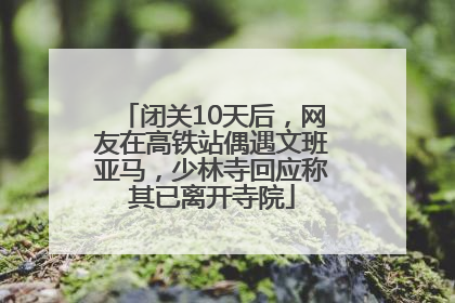 闭关10天后，网友在高铁站偶遇文班亚马，少林寺回应称其已离开寺院