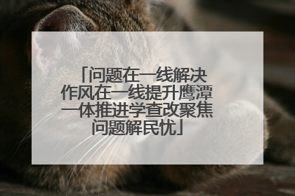 问题在一线解决 作风在一线提升鹰潭一体推进学查改聚焦问题解民忧