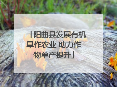 阳曲县发展有机旱作农业 助力作物单产提升