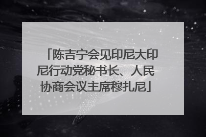 陈吉宁会见印尼大印尼行动党秘书长、人民协商会议主席穆扎尼