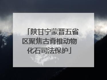 陕甘宁蒙晋五省区聚焦古脊椎动物化石司法保护
