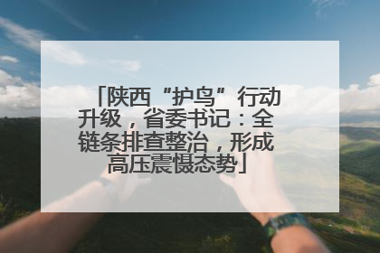 陕西“护鸟”行动升级，省委书记：全链条排查整治，形成高压震慑态势