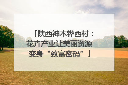 陕西神木铧西村：花卉产业让美丽资源变身“致富密码”