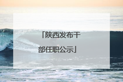 陕西发布干部任职公示